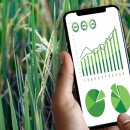 개선농장 이미지