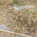 나래농수산 이미지