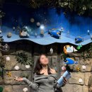 스쿠버월드 | 롯데월드 아쿠아리움 방문기: 실내데이트로 제격!