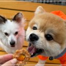 봉구냠냠 이미지