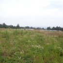 색달동-2 이미지