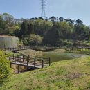 정량천 생태하천 이미지