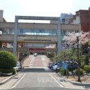 한국영재 이미지