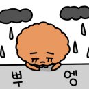 청춘돈까스 이미지