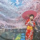 예쁜동화나라어린이집 이미지