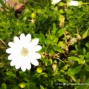 한양대 탑 태권도 이미지