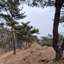 검문소 티스토리