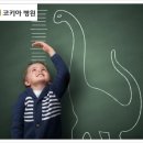 코키아한방병원 이미지