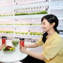 [유통<b>플래시</b>] “<b>365</b>일 안전한 먹거리 위해”…유통가 스마트팜에 진심