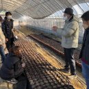 경기농장 이미지