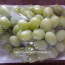 옥길동 726-5 이미지