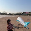자전거대여소(화성행궁) | 수원 화성행궁 풍선연 후기, 아이랑 놀기 좋은 체험템 직접 사용 후기