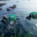 제주 해녀의 물옷과 물질도구(15점) 이미지