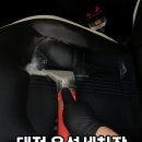 주신직물