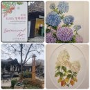 KABA | 제7회 KABA (한국보태니컬아트협회) 정회원전 관람, 인사동 경인미술관 방문 후기
