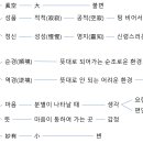 노재천존영 열반기념제 법문 (108.9.17) 이미지