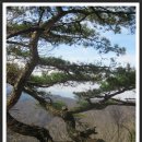 칠백농장 이미지