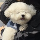 솔이네반찬