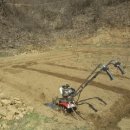 온리누스 이미지