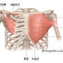 펜타핏 이미지