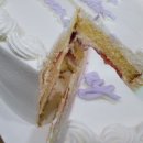 파티라슈 이미지