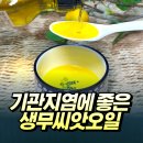 기관지염 빨리 낫는 법! 무씨앗오일 추천드려요 - 식품애착생무씨앗기름 후기