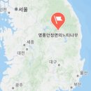 영풍 단촌리 느티나무 이미지