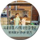 곡성읍 장선1구 마을회관 | 시골 풍경/ 나의 살던 고향 곡성묘천리 에서 아이들과 느리게걷기 아침산책 하고 힐링했어요.