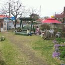 나포초등학교 이미지