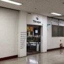 대륭테크노타운 앞 | 물생활 리뷰 | 팀아쿠아 서울지점 방문 후기