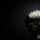 조달법인강산