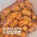 씨유울산수암점 | 울산 야음동 빵집 수암땅콩빵 수암시장 근처 땅콩빵 맛집