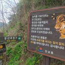 모산봉등산로 이미지