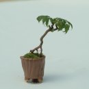 수월초등학교 이미지