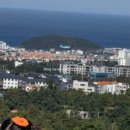 아날로그감귤밭 | 아이랑 가기 좋은 제주도 귤따기체험 겨울제주 아날로그 감귤밭 후기