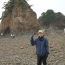 행담마켓 Daum카페