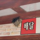 송전농장 이미지