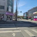 러블리펫그루밍 이미지