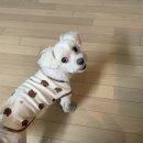 올리브영천안역점 | 브라보 마이 라이프
