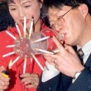 도미당약국 | 나고야x시즈오카 4박 5일 여행후기(25.12)