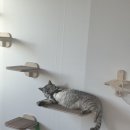 창석농장 이미지