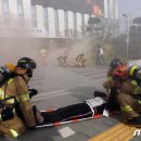 조치원_세종시보건환경연구원 이미지