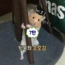CU 신상 | 405 우베롤 우베브리오슈번 호박인절미소보로 솔직 후기