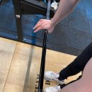 올데이PT 이미지