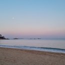 진하막썰어횟집 이미지