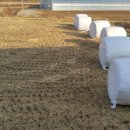 농업기술센터 농업미생물관 이미지