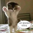 이슨 | 2026-04-06 다이슨 사망 후 부활하다