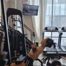 성공짐 | 50대 여성 운동 변화, 비너스짐/제우스짐 헬스 성공 후기