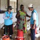 가나축산 이미지