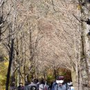 부석우체국 이미지